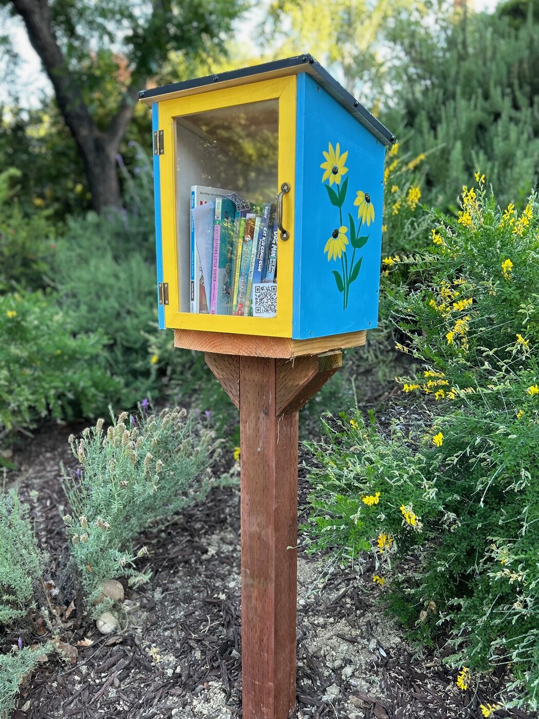 Yellow Daisy book box in Los Gatos