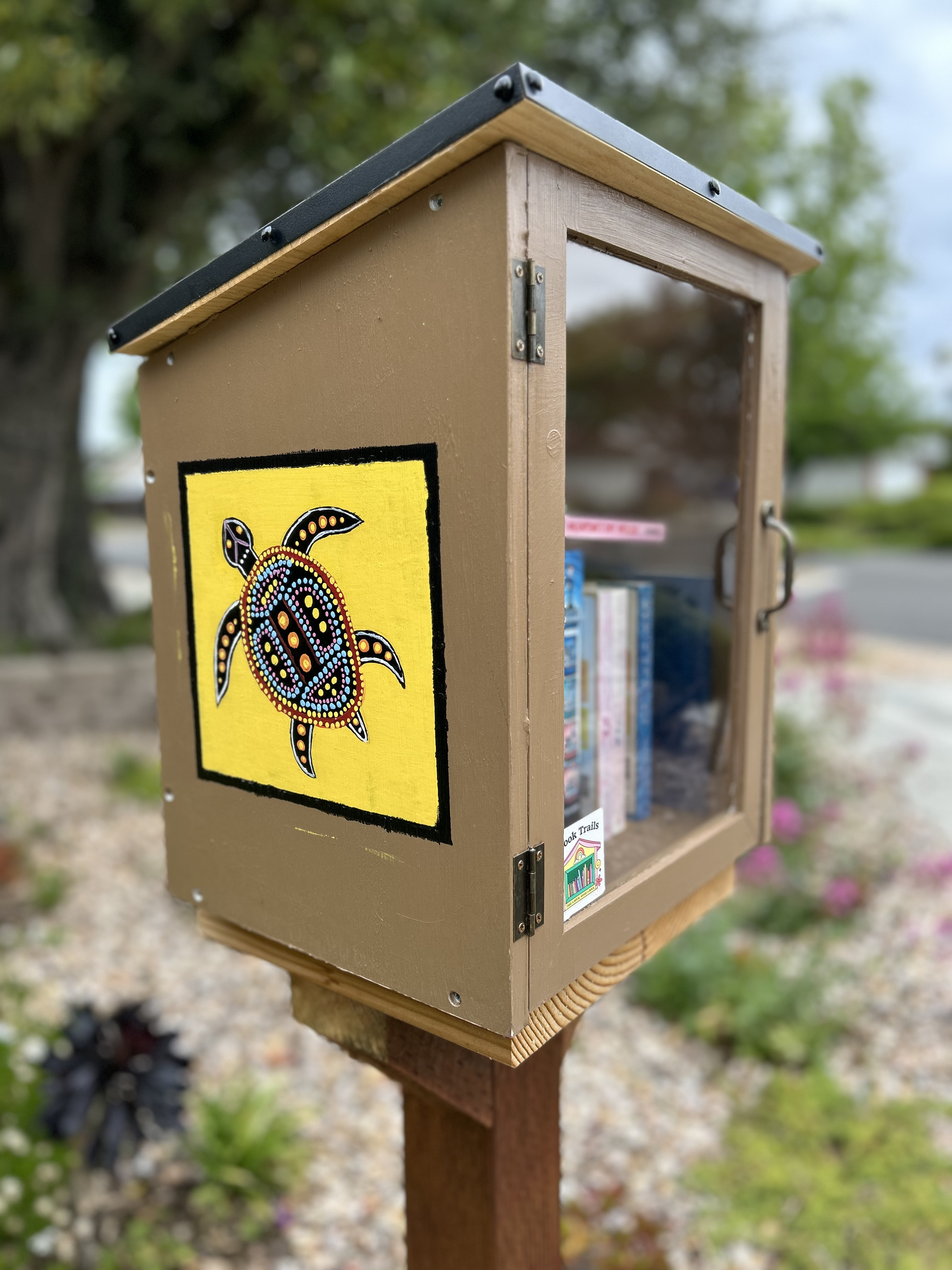 Turtle Inspired by Aboriginal Dot-Painting Traditions book box in West San Jose